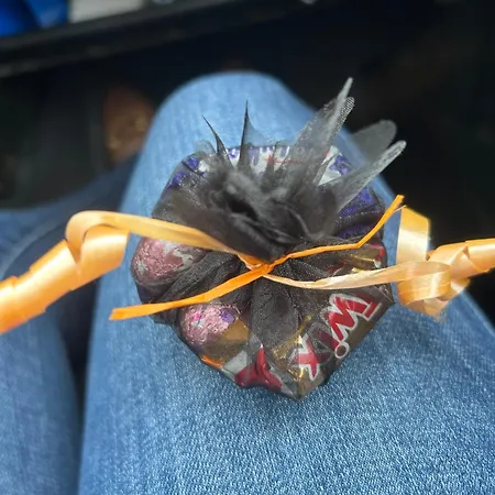 Les Pieds Dans L'eau Croisic Apartment